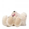 Small Product Preview Image 7